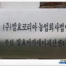 법인거목농업