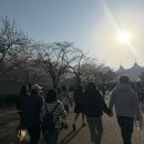 깔롱제이 - 동구 | 2026.4.5 박효신 콘서트 LIVE A&E 중콘 후기 (셋리스트, 꿀팁, W32구역 시야)