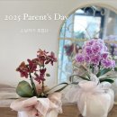 타티아르 이미지