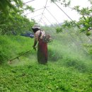 낙원농장4 이미지