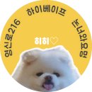 🍓딸바 조합의 끝판왕! 쿠모카시 바 엔젤스무디 솔직 리뷰
