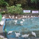 올라알파카 카페 이미지