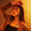 나비컴퍼니 이미지