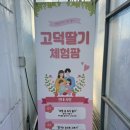 수부길 이미지