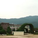 광성리광제 네이버블로그