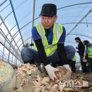 김병기농가 이미지