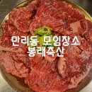 만리동 모임장소 양념소갈비찐맛집 봉래축산 맛집후기