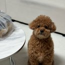 선천들공원 이미지