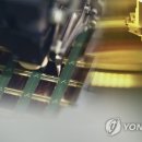 다이아몬드지 서울경제