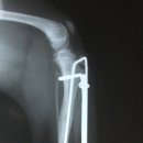 위니펫동물병원 이미지