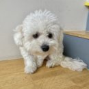 사랑가득케어 이미지