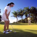 샹그릴라 이미지