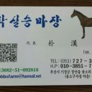 박실승마체험장