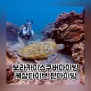 금거북 | 보라카이스쿠버다이빙 케삼다이브 바다거북 펀다이빙 후기