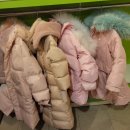 신대숲음악학원 이미지