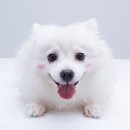 선스튜디오