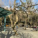 세계자동차&피아노 박물관 | [제주] 카멜리아힐 5분거리, 전부 개인 소장이라구?! ‘세계 자동차&amp;피아노 박물관’ 내돈내산 후기