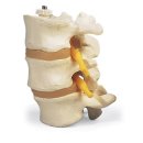 동오농장 이미지