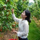 또박이농장 이미지