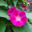 산책길-1 이미지