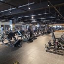 마블 피트니스 이미지