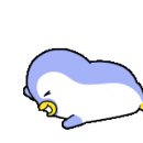 여주-0208 이미지