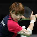 스케치독 이미지