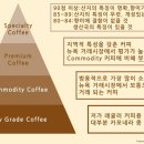 옵션스페셜티커피