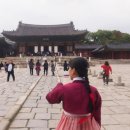 한일사세탁소 이미지