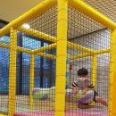 정코다리 이미지