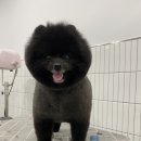 김탄살롱