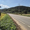 갯마을가든펜션 이미지