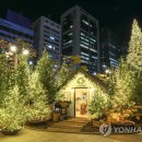 현대백화점 광장 이미지