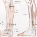 배세한의원 이미지