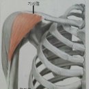 F4GYM(에프포짐) 이미지