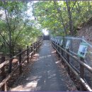 안골길 9 이미지