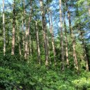 어상천면사무소 이미지