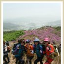 아영면 구상마을 이미지