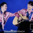 (주)디오 이미지