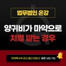 마약 양귀비 모르핀 헤로인의 재료가 되기에 처벌 더욱 무겁습니다