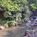 정선 도원펜션&캠핑장 이미지