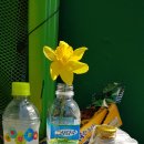 서산종합운동장 테니스장 이미지