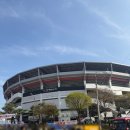 위즈 | 수원KT위즈파크 직관후기 : KT존 시야 / 보영만두 진미통닭 정재영커피