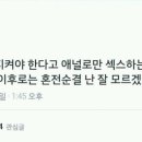 한라컴퍼니 이미지