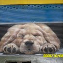 우리동네미술 거리 이미지