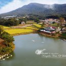 강화 호수의 집 이미지