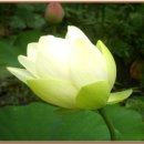 인간(人間)의 욕망(欲望) 이미지