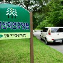 행복휴양림 이미지