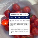 동우회센타 | [공지] 25년 6월 기록