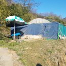 대지농장(1) 이미지